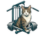 Tigmetrics logo